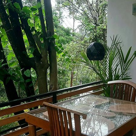 Dhanudi Homestay Ella Extérieur photo