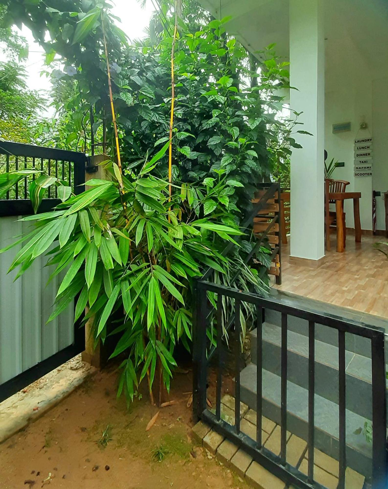 Dhanudi Homestay Ella Extérieur photo