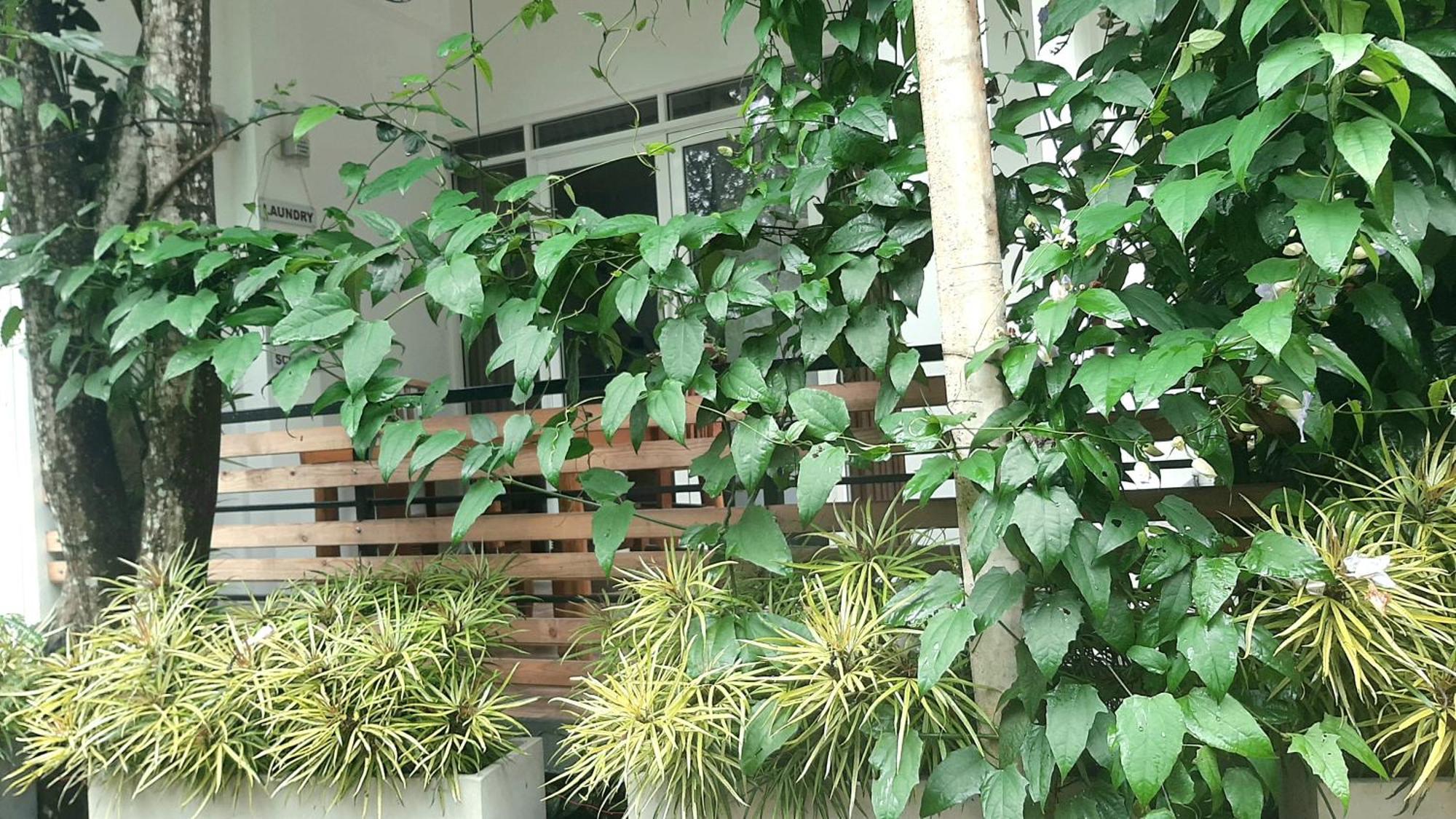 Dhanudi Homestay Ella Extérieur photo
